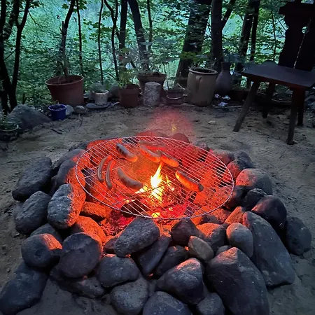 Waldfloss Biberspur Zieko