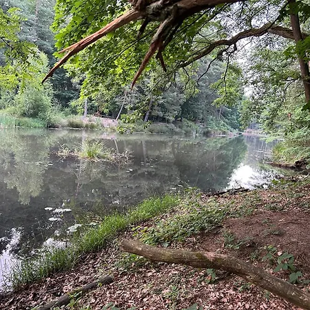 Botel Waldfloss Biberspur