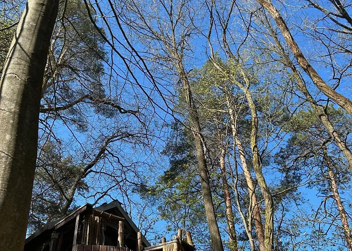 Hotel en barco Waldfloss Biberspur *