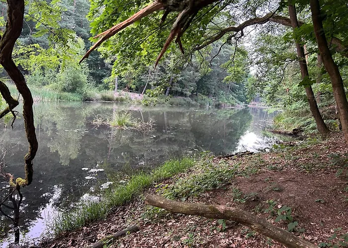 Hotel en barco Waldfloss Biberspur